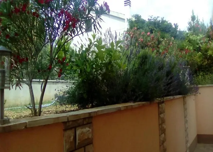 Πανσιόν Vala Vinišće